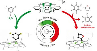 Breakthrough catalyst breaks down PFAS in coatings