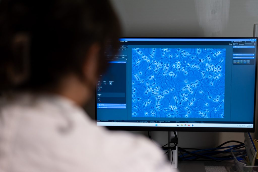 Williamtown PFAS levels could be impacting male reproductive health 