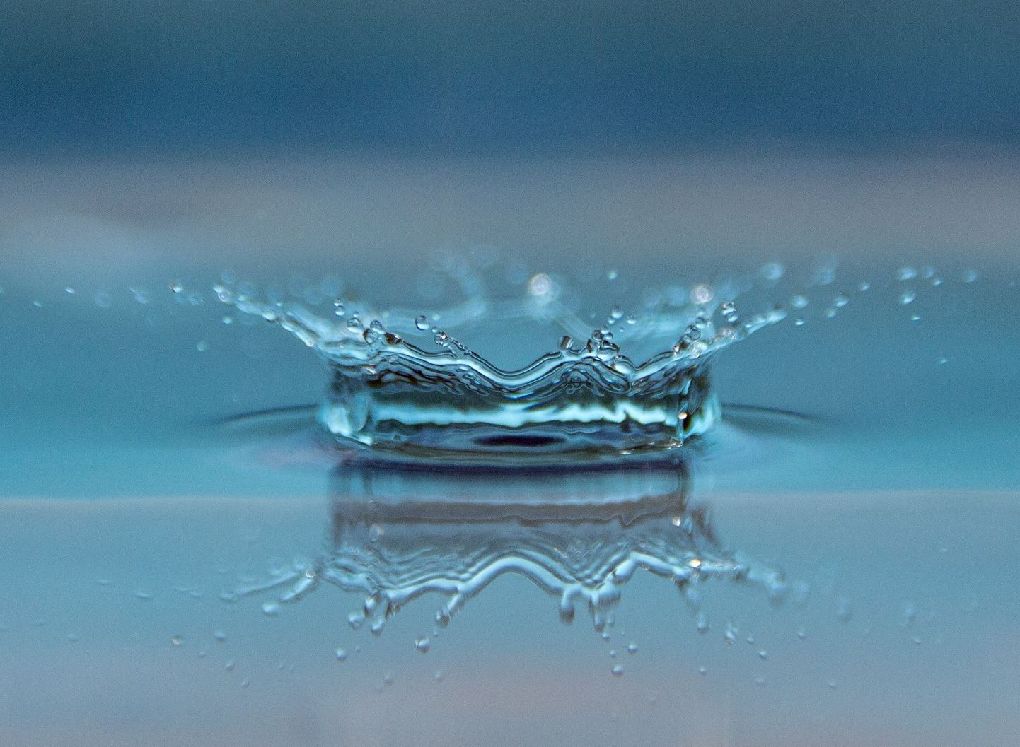 Flinders University Develops Molecular Cage Adsorbent to Capture Short-Chain PFAS