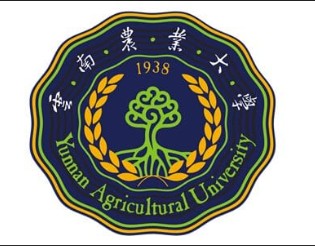 Upcycling PVDF into Carbon Electrodes for Zinc-Ion Supercapacitors to Avoid Its Entry into the Ecosystem