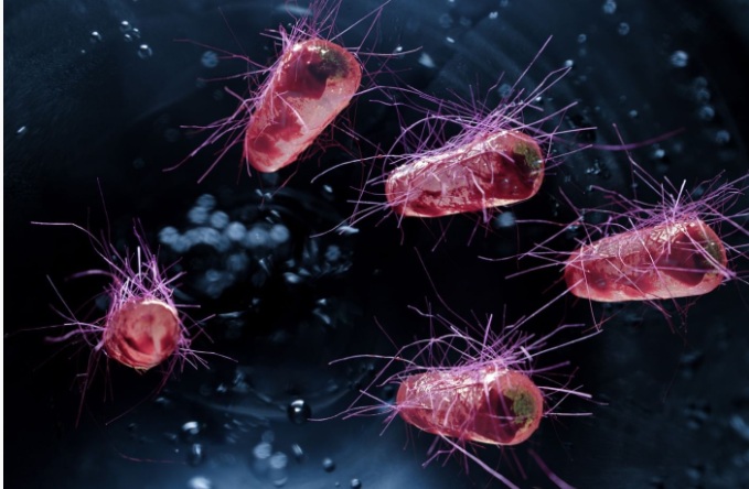 British Scientists Create Syn57: E. coli with Radically Recoded Genome