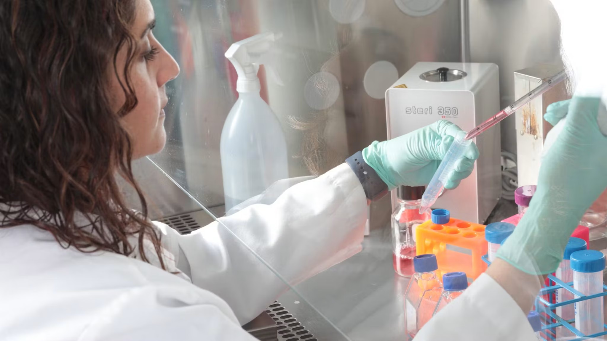 Revive & Restore Receives $2M as One of 15 Awarded Projects in Bezos Earth Fund’s first AI for Climate and Nature Grand Challenge