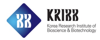 Automated Construction of a Yeast-Based Multigene Library via Homologous Recombination in a Biofoundry Workflow